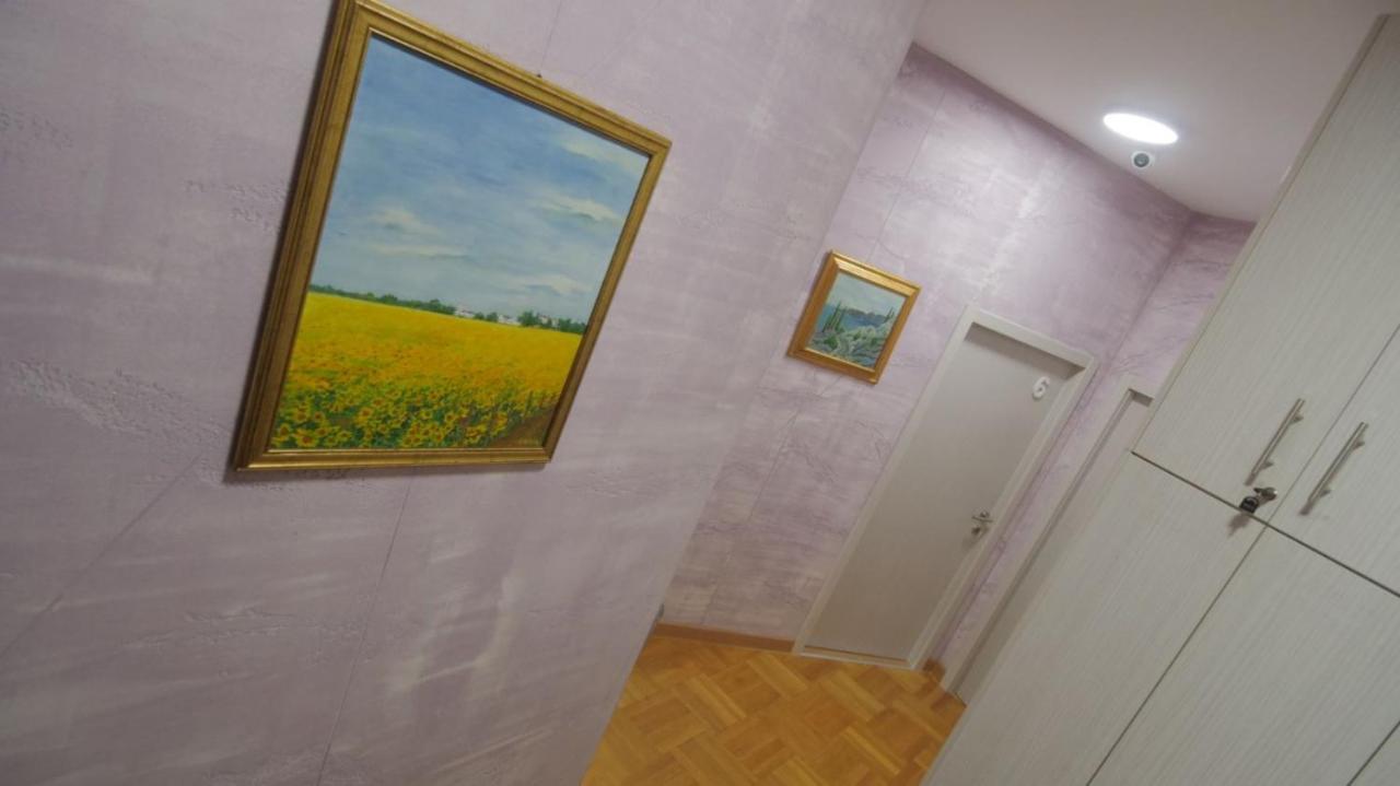 Stella Di Notte Vip Hostel Belgrade Exterior photo